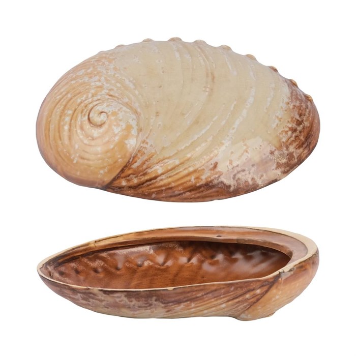 Тарелка 19*14,5 см, 365 мл, керамика "Frutti di Mare" P.L. 38727 - фото 11925