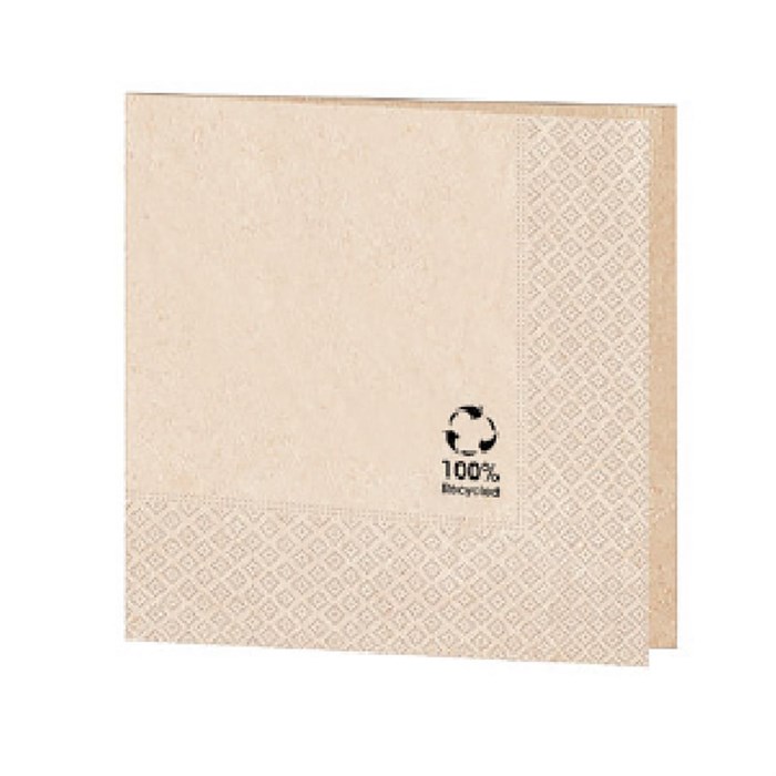 Салфетка бумажная ECO двухслойная, 20*20 см, 100 шт, Garcia de Pou 7304 - фото 4373