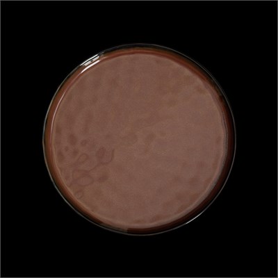 ТАРЕЛКА мелкая 8,75 225мм, красный "Corone Carmen" [HS012570]" 86654 - фото 5508169