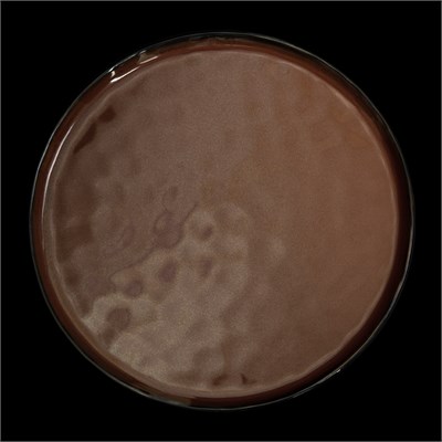 ТАРЕЛКА мелкая 11 290мм, красный "Corone Carmen" [HS012571]" 86655 - фото 5508170