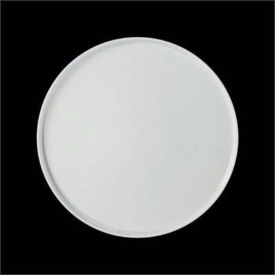 ТАРЕЛКА мелкая с бортом 10'' 250мм ''LY'S Horeca'' [542531000] 86936 - фото 5508645
