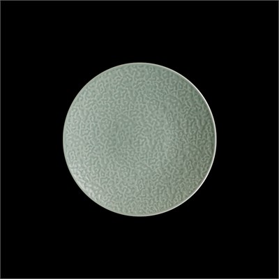 ТАРЕЛКА мелкая без бортов 8,25 208мм, зеленый "Corone Nori" [LQ-QK15287-GRE]" 91382 - фото 5515926