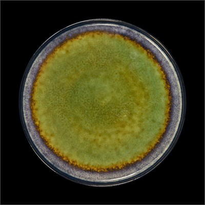 ТАРЕЛКА мелкая 10,5 265мм, синий+зеленый "Corone Verde" [HL473250]" фк0731