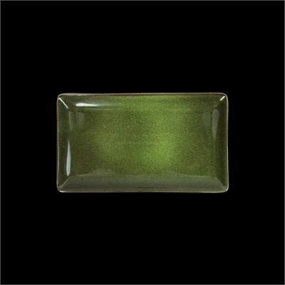 БЛЮДО прямоугольное 9 230х135х20мм, зеленый "Corone Cocorita" [XSY2175]" фк8852