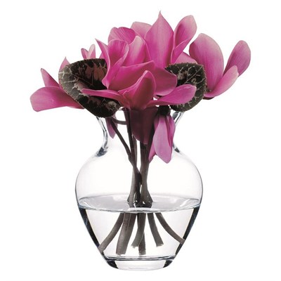 Ваза для цветов Pasabahce "Ботаника", 14,4 см, стекло, Россия (БОР) 81201284