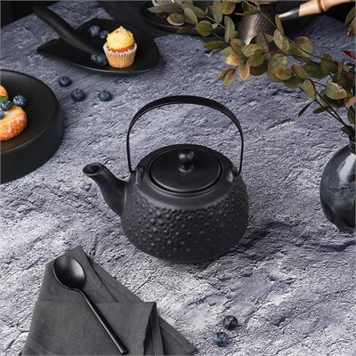 Чайник с металлическим ситом  Black Raw Stellar 750 мл, P.L. Proff Cuisine 81223147