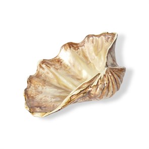 Блюдо 20*14,5 см, 150 мл, керамика "Frutti di Mare" P.L. 33975
