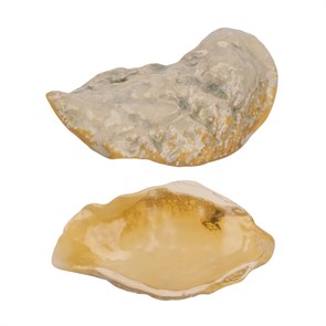 Блюдо 13*8 см,керамика "Frutti di Mare" P.L. 38621