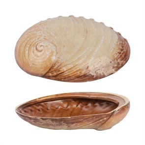 Тарелка 19*14,5 см, 365 мл, керамика "Frutti di Mare" P.L. 38727
