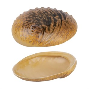 Тарелка 19*14,5 см, 360 мл, керамика "Frutti di Mare" P.L. 38728