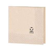 Салфетка бумажная ECO двухслойная, 20*20 см, 100 шт, Garcia de Pou 7304