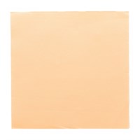 Салфетка бумажная Double Point двухслойная шампань, 39*39 см, 50 шт, Garcia de Pou 7314