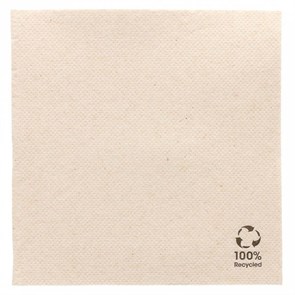 Салфетка бумажная Double Point ECO двухслойная, 25*25 см, 50 шт, Garcia de PouИспания 7278