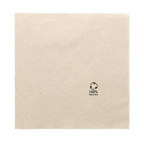 Салфетка двухслойная ECO, 40*40 см, 100 шт/уп, Garcia de PouИспания 7538