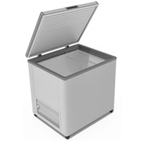 Ларь морозильный FROSTOR F 250S 70086