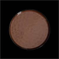 ТАРЕЛКА мелкая 8,75 225мм, красный "Corone Carmen" [HS012570]" 86654
