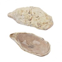 Блюдо для подачи 12,6*6,6 см h3,2 см 15 мл Pearl Shell Frutti di Mare [81241254] 92158