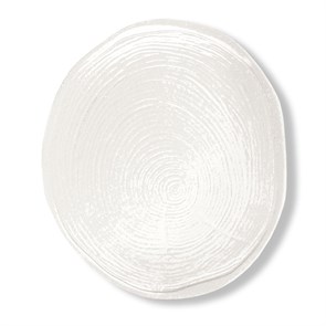 Тарелка 29*25,5 см, P.L. Proff Cuisine 2647