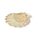 Блюдо 13*12 см, 50 мл. керамика "Frutti di Mare" P.L. 33979 - фото 11093