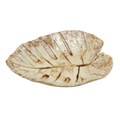 Блюдо 23*19 см, 225 мл, керамика "Frutti di Mare" P.L. 33985 - фото 11097