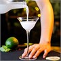 Бокал для коктейля "Bayamo" Cocktail Week 120мл.P.L-Barware 41321 - фото 24599