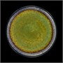 ТАРЕЛКА мелкая 10,5 265мм, синий+зеленый "Corone Verde" [HL473250]" 79230 - фото 5496615