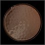 ТАРЕЛКА мелкая 11 290мм, красный "Corone Carmen" [HS012571]" 86655 - фото 5508170