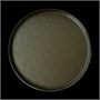 ТАРЕЛКА мелкая 11 285мм, серо-зеленый "Corone Sacramento" [HS169597]" 87627 - фото 5509766