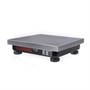 ВЕСЫ фасовочные Mertech 221 F-15.2 Install RS-232 88963 - фото 5511971