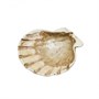 Блюдо для подачи 15*15 см h5,5 см 125 мл Pearl Shell Frutti di Mare [81221988] 91861 - фото 5516694