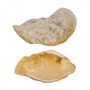 Блюдо для подачи 19,9*8 см h3,8 см Pearl Shell Frutti di Mare [81241249] 91862 - фото 5516695