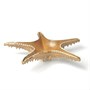 Блюдо для подачи 28*28 см h6 см 100 мл Звезда Pearl Starfish Frutti di Mare [81221991] 91864 - фото 5516698