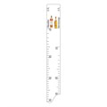 Барная линейка Macallan / Glenmorange (700мл), P.L. Proff Cuisine 12048 - фото 5839