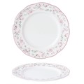 Тарелка классическая d=21 cм,фарфор "NOBLE" серия "Retro Ritz-La Vie En Rose" 21839 - фото 8988