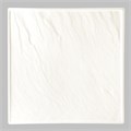 Блюдо 25,5*25,5 см, P.L. Proff Cuisine 2732 - фото 914